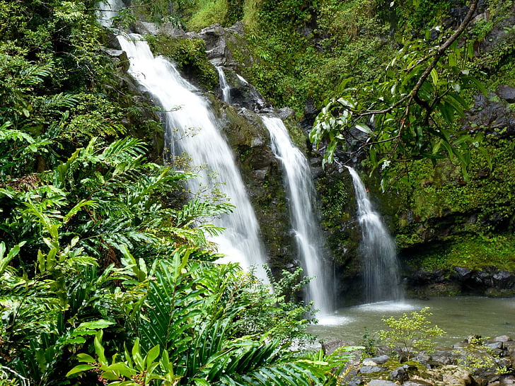 Wodospad, Hawaje, Tropical, Natura, Wyspa, sceniczny, Kauai