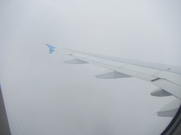 Uçuş, uçak, uçak, Pilot, bulutlar, gökyüzü
