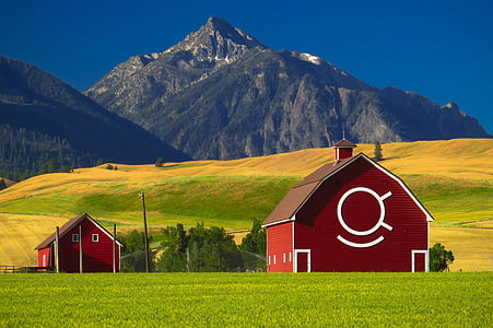 stodola, farma, poľnohospodárstvo, vidieka, Architektúra, pole, pasienky