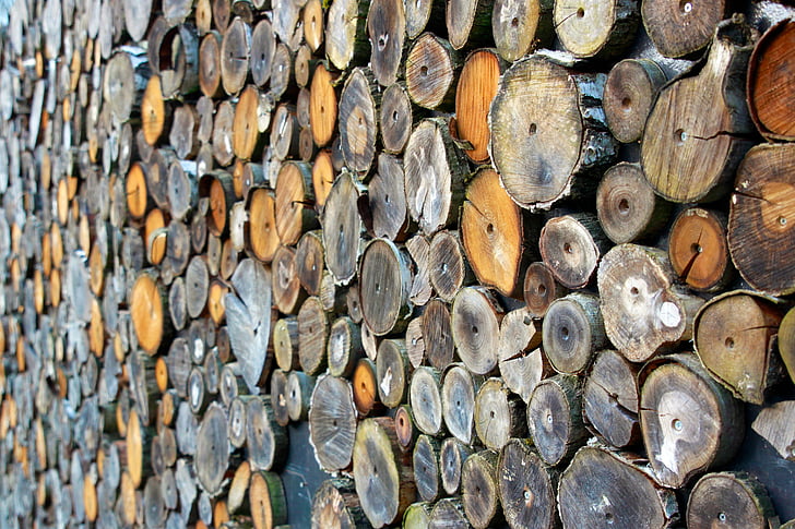 drvo, holzstapel, narezivanje navoja Češljevi, drva za ogrjev, zapisnik, drvo, rastu dionice