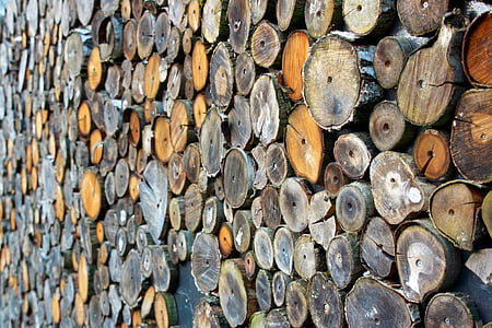 medienos, holzstapel, šukos siūlų pjovimo, malkinė mediena, žurnalo, medienos, auga akcijų