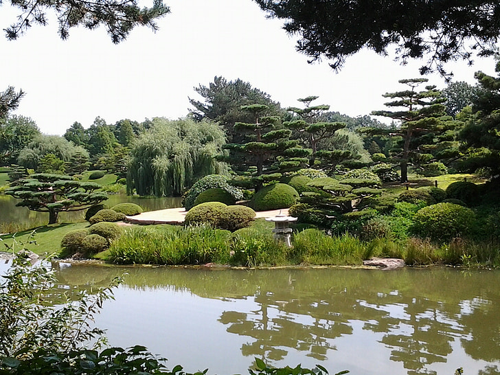 dārza, Japāņu, zaļumi, daba, koks, pundurkociņš, zāle