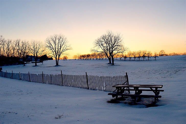 snö, staket, träd, solnedgång, skugga, bänk, naturen