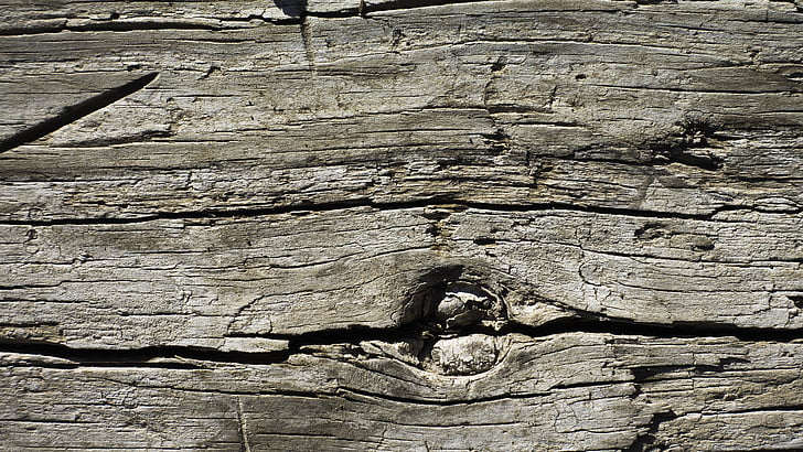 texture, background, bark, design, wood, tree, stump
