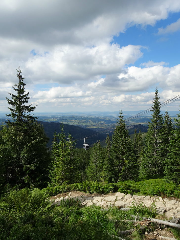 Tatry, bergen, landskap, Trail, naturen, träd, berg-och dalbana