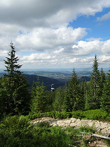 Tatry, montanhas, paisagem, trilha, natureza, árvore, montanha russa