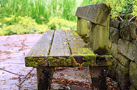 bank, bench, old wood bench, weathered, park bench, wood - Material, nature