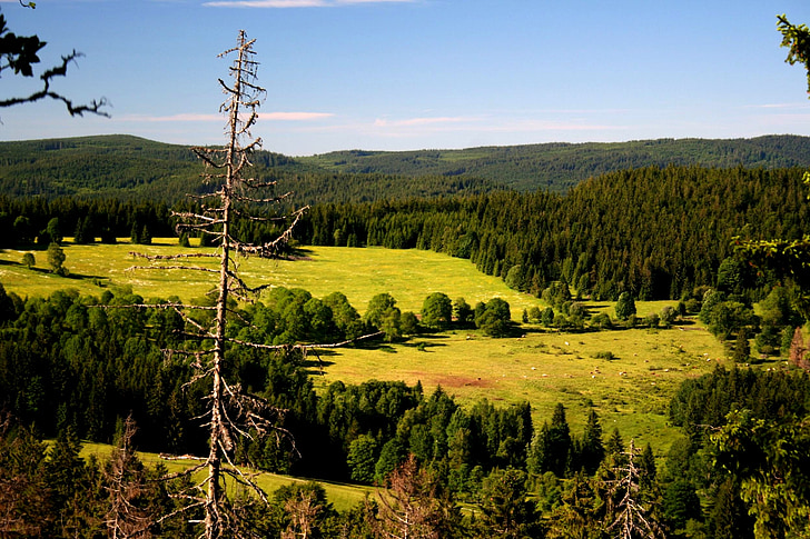 Šumava, táj, természet, erdők