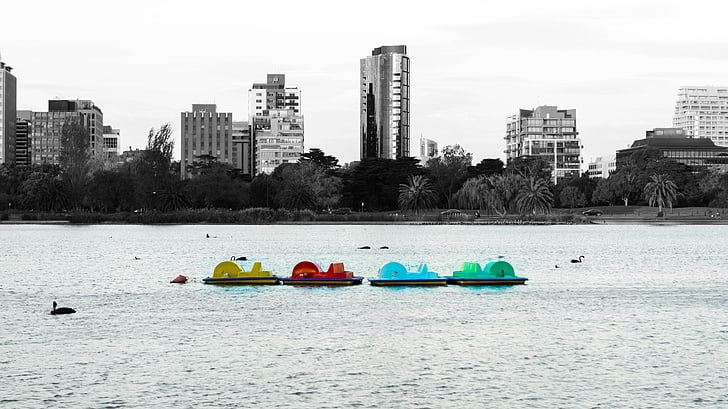 paddle boats, lake, paddle boat, paddle, boat, city, black and white