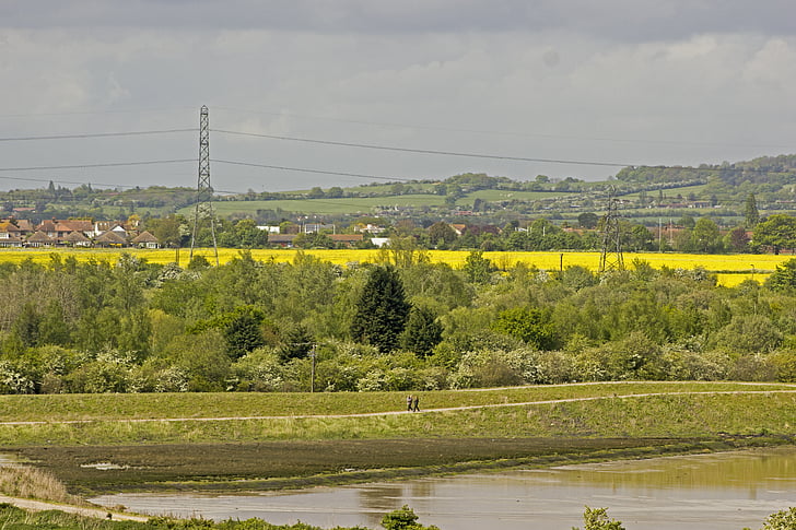 cloudy, day, essex, uk, distance, yellow, field