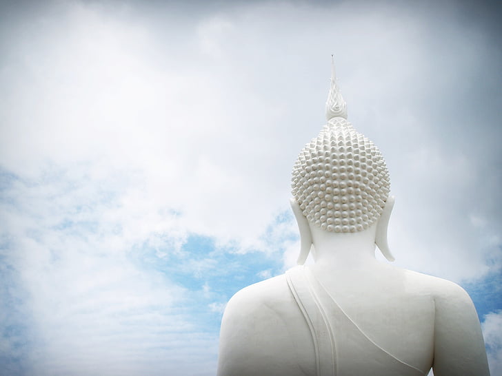 Buddha, Indien, sind, bøn, koncept, buddhistiske, buddhisme