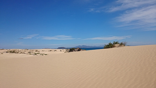 duinen, zand, Corralejo, de olijf, Fuerteventura