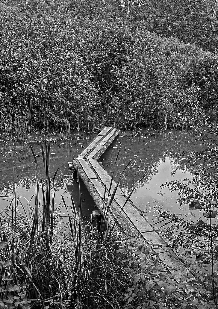 Príroda, vody, rybník, footbridge, čierna a biela