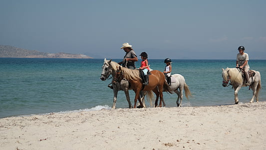 hester, folk, stranden, sjøen