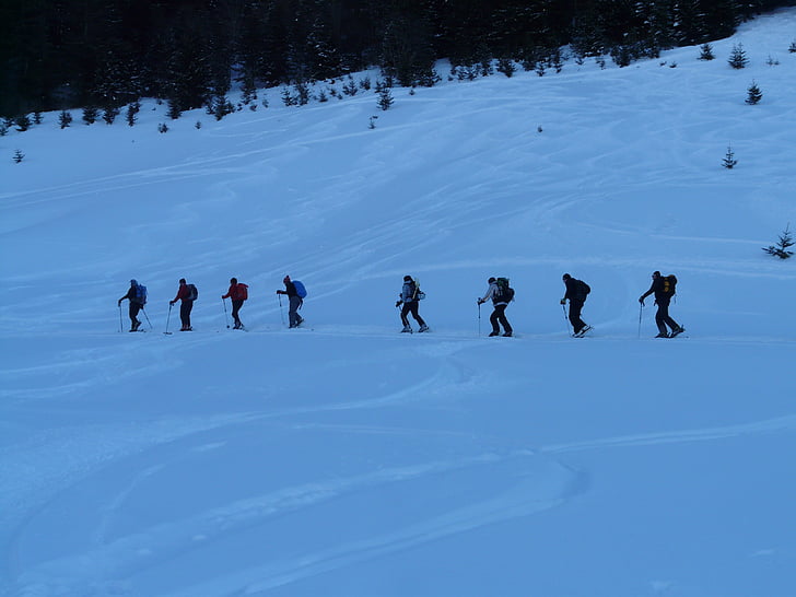 Backcountry skiiing, Зимни походи, екскурзия, зимни, студено, тичам, възход