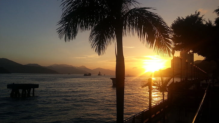sunset, sundown, sea beach, palm tree