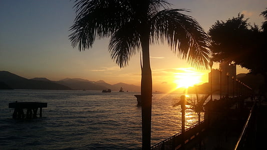 Sunset, Sundown, meren rannalla, Palmu