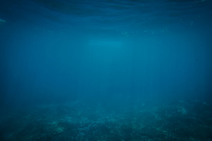 zila, okeāns, zem ūdens, jūra, daba, foni, Nr cilvēki