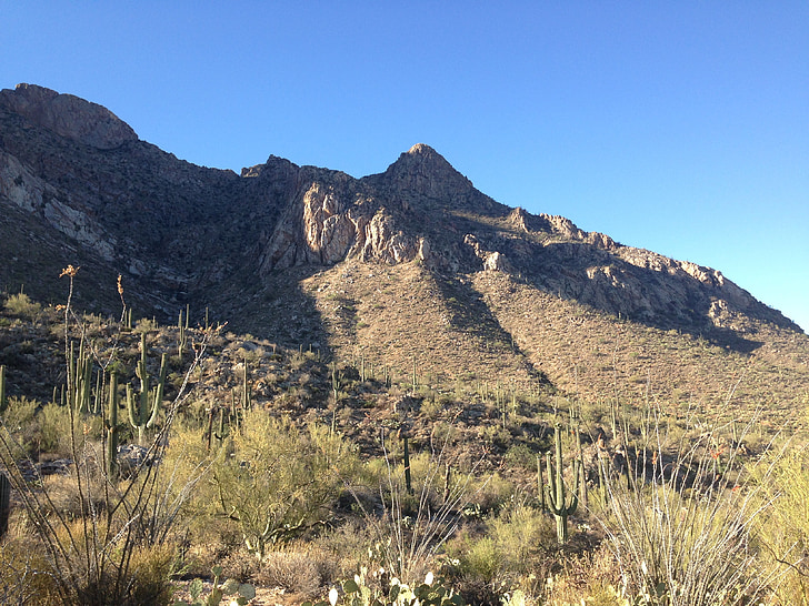 desierto, montaña, Arizona