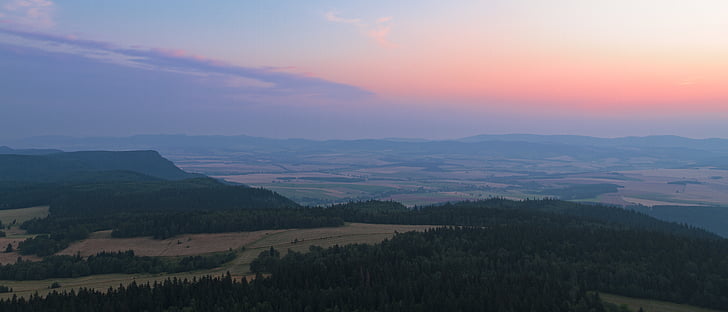 aerial, view, sunset, trees, plant, forest, nature