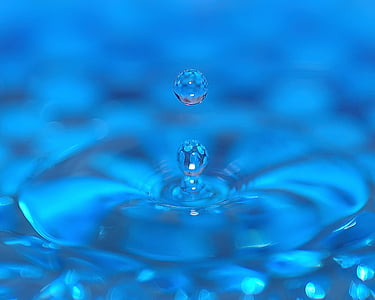 abstract, bubble, clear, dew, drop, droplet, liquid