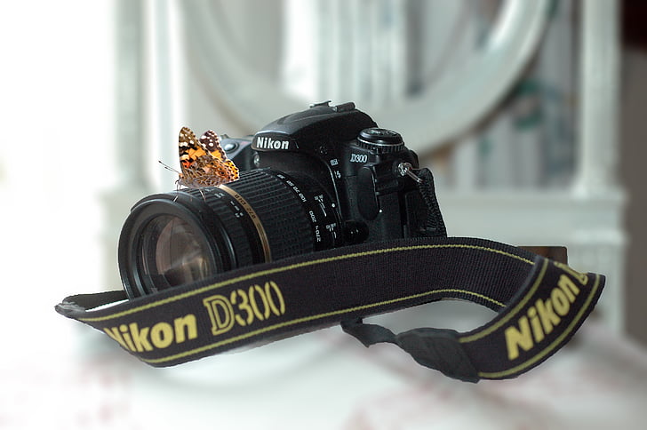 camera, Nikon, D300, vlinder, macro, fotografie, dier