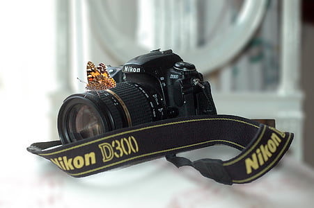 kameraet, Nikon, D300, sommerfugl, makro, fotografi, dyr