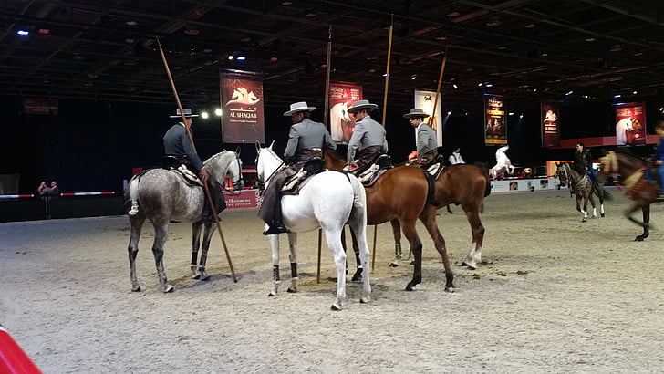 馬, 馬術競技, ショー, スペイン