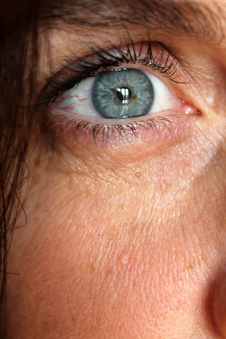 acs, zila, seja, sieviete, persona, cilvēka acs, tuvplāns
