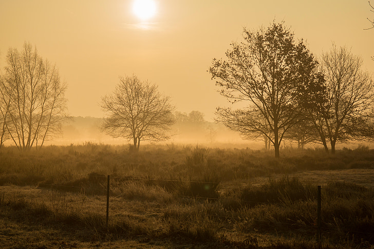 morgenstimmung, Heide, Wahner païen, lever du soleil, Hazy, brumeux, brouillard