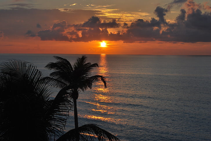 Cancun, laut, matahari terbenam, malam, laut, Pantai, pohon palem