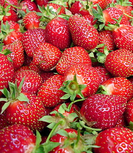 jahody, červená, léto, ovoce, čerstvé, přírodní, zdraví