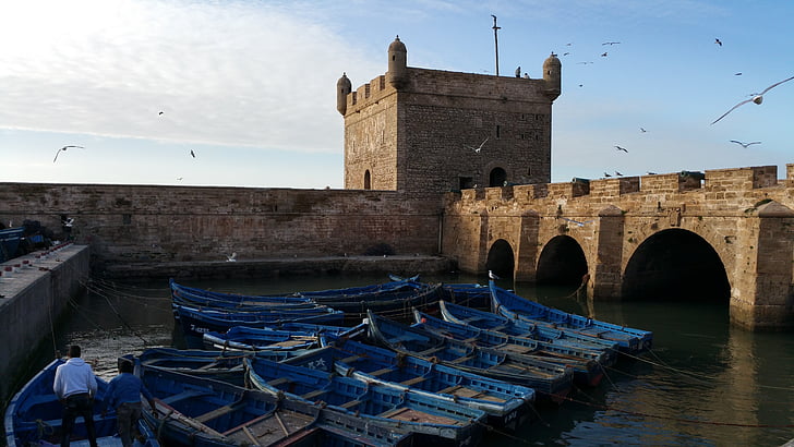 Essaouira, fiske, hamn, hamnen, Citadel