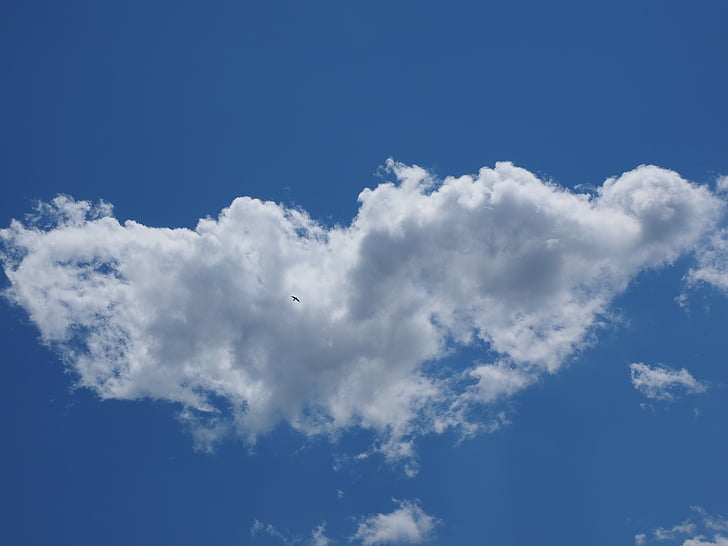 cielo, nube, pájaro, azul, forma de las nubes, Blanco, nubes Cumulus