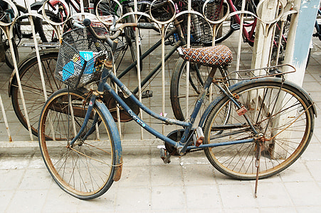 จักรยาน, จักรยาน, วงจร, กีฬา, กิจกรรม, สนุก, ขี่