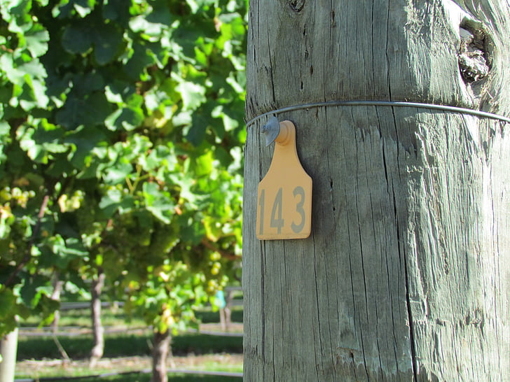 kebun anggur, posting, nomor, kayu - bahan, tanda, di luar rumah