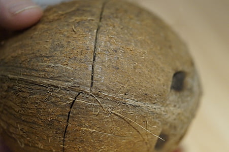 кокосово, Отворете кокосово, твърд, обвивката, до точката на пречупване, точката на пречупване