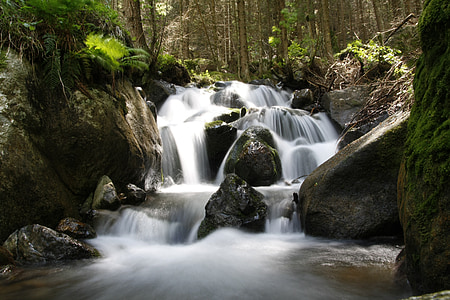 cascada, naturaleza, agua, bosque, flujo, de Bach, calmar