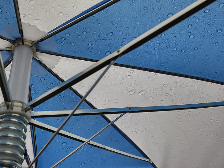 umbrella, drop of water, spokes, water, drip, rain, transparent