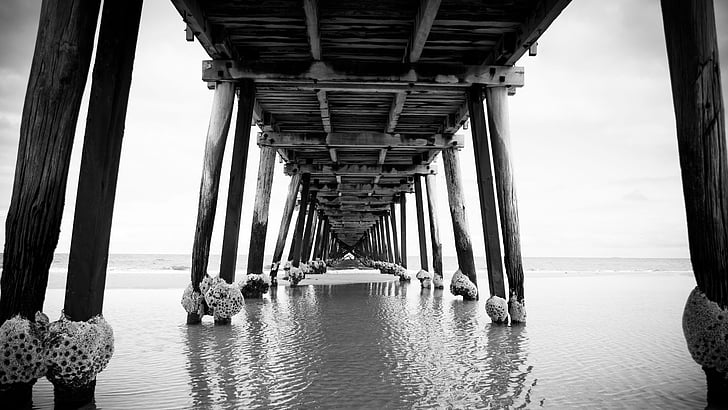 pier, dock, bridge, beach, ocean, sea, water