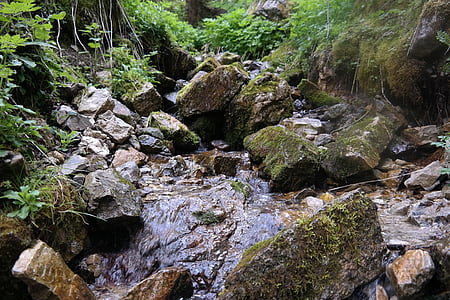 mountains, source, bach, water, nature, river, stones