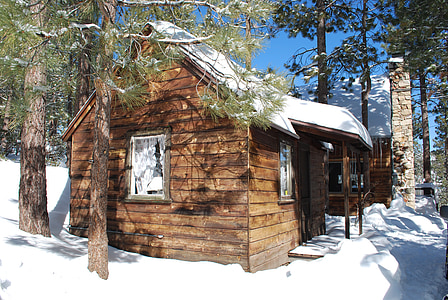 samotność, kabiny, lasu, spokojny, na zewnątrz, śnieg, zimowe