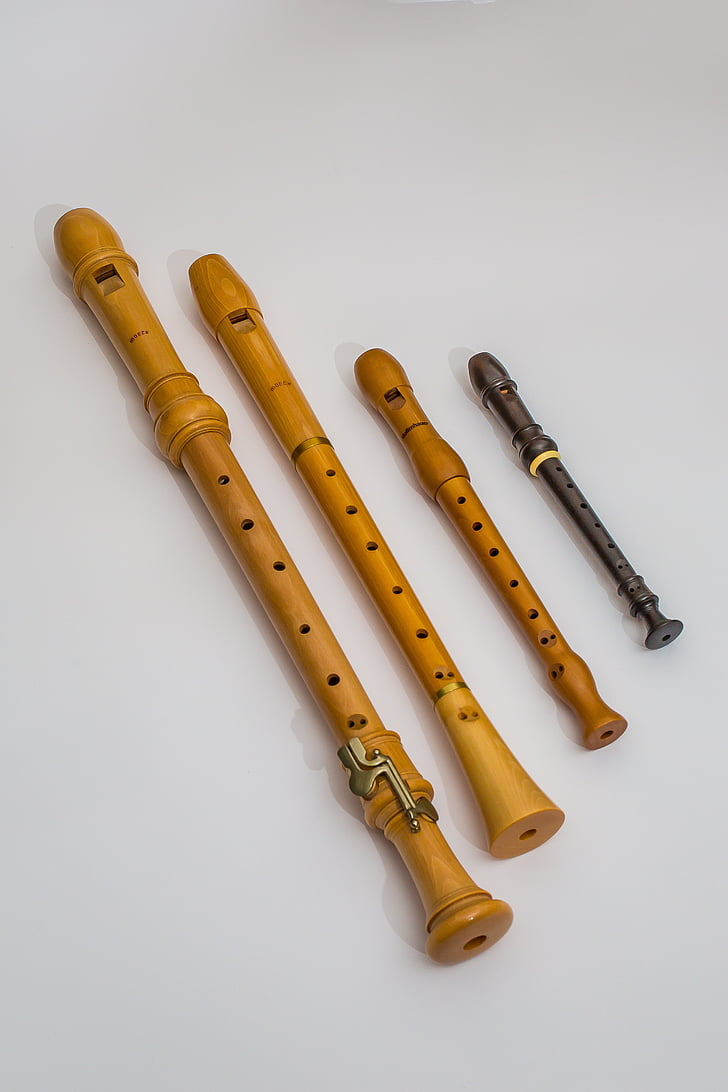 flute, recorder, musical instruments, woodwind, wooden flute, music, musical instruments and teachers