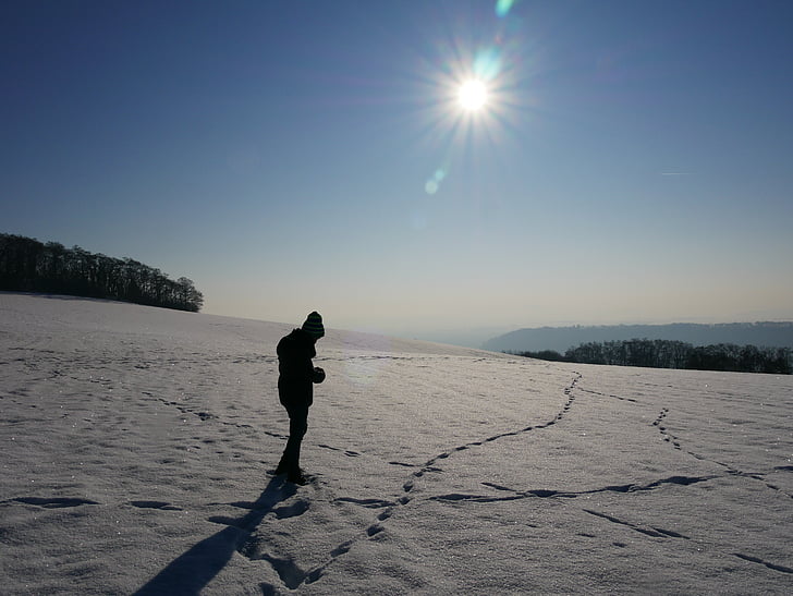 neu, sol, paisatge, fred, cobert de neu, solitari, neu profunda