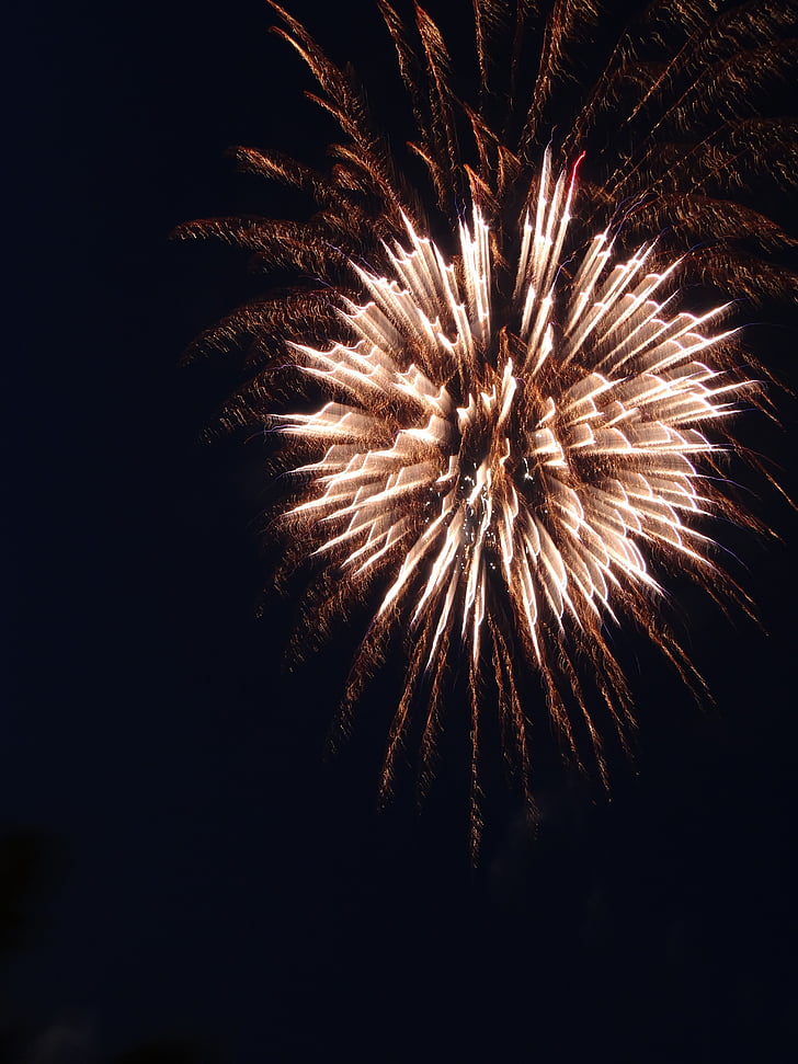 fuegos artificiales, galletas, Sylvester, fuegos artificiales, cohete, explosión, día de año nuevo