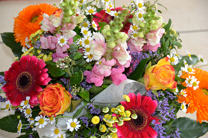 flowers, strauss, loewenmaeulchen, colorful, bouquet, blossom, bloom