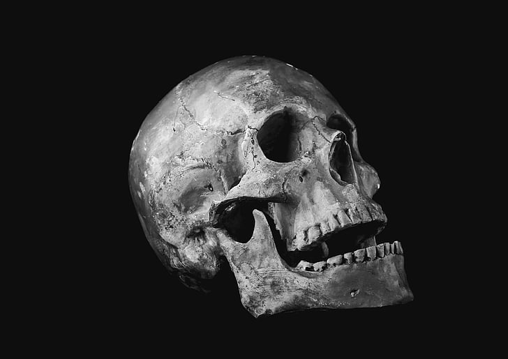 череп, безпомощност, кост, скул, човешки череп, човека кост, Хелоуин