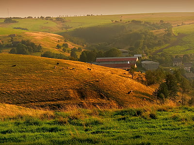 Moldava, paysage, été, vallée de, paix, Meadow, colline