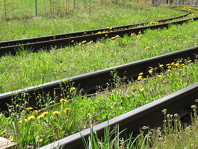 Track, Bahngleis, Schienen, Wiese, Frühling, Blumen, Grün