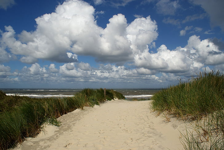 borkum, north sea, beach, coast, path, sand